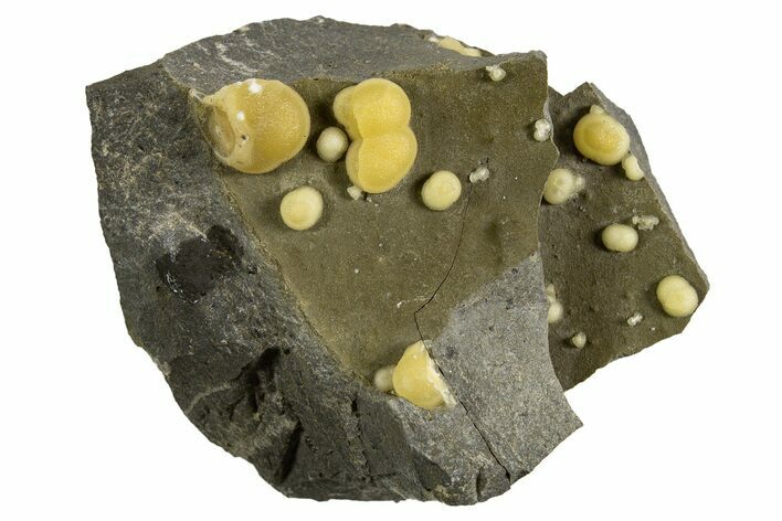 Globular Yellow Calcite Formations on Basalt - Italy #325612